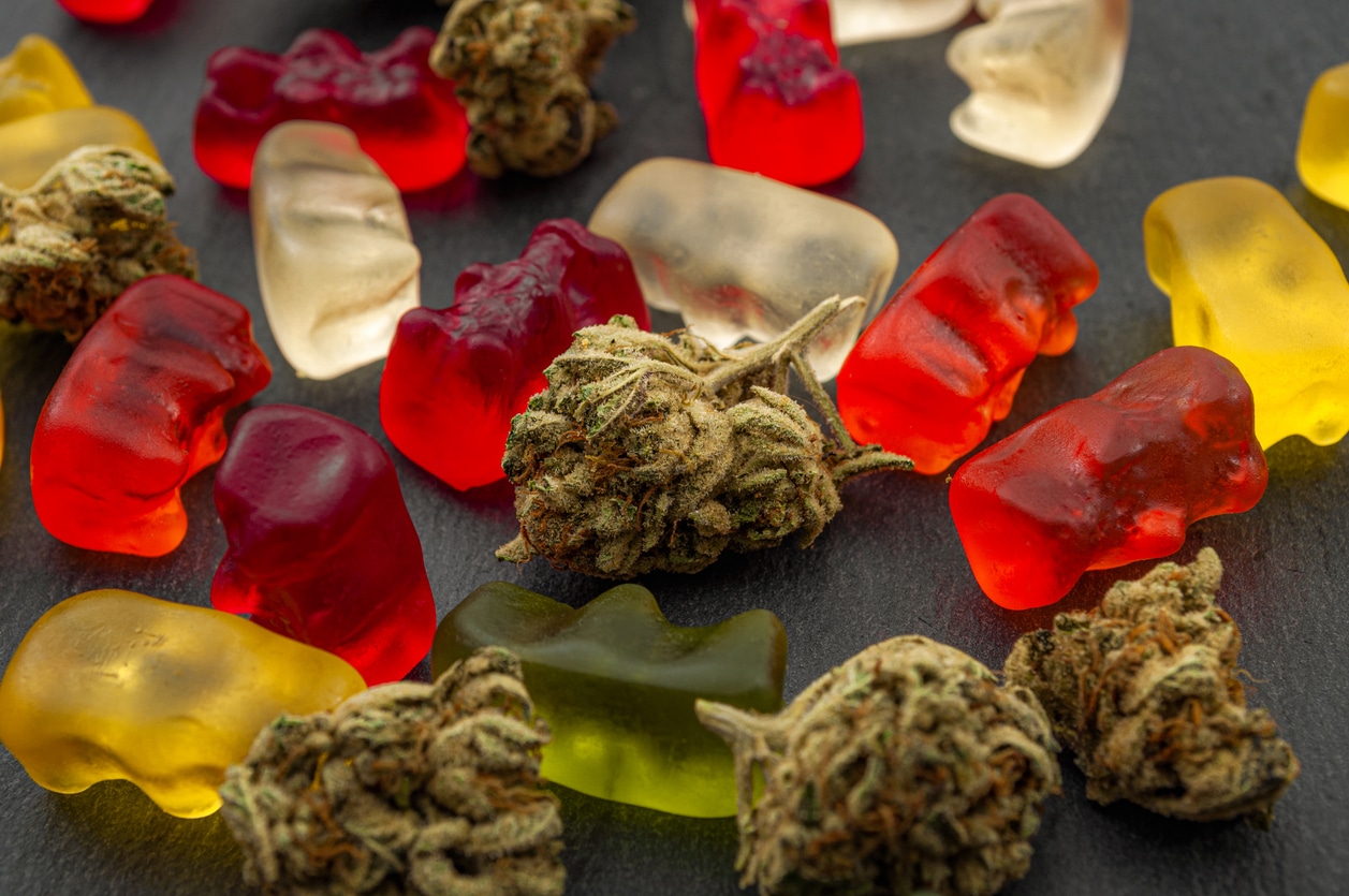 How To Eat Edibles: Info on the proper way to eat cannabis edibles and get the most out of your experience! We have all the details you need